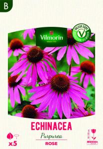 Echinacée Purpurea Rose (x5)
